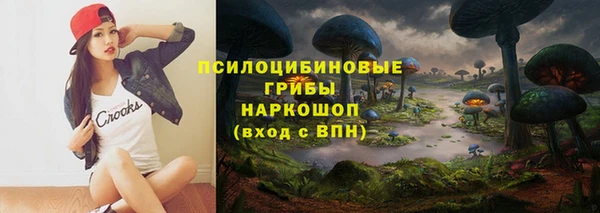 бутират Алексин