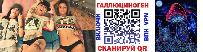 магазин продажи   Железногорск  Псилоцибиновые грибы Psilocybine cubensis 